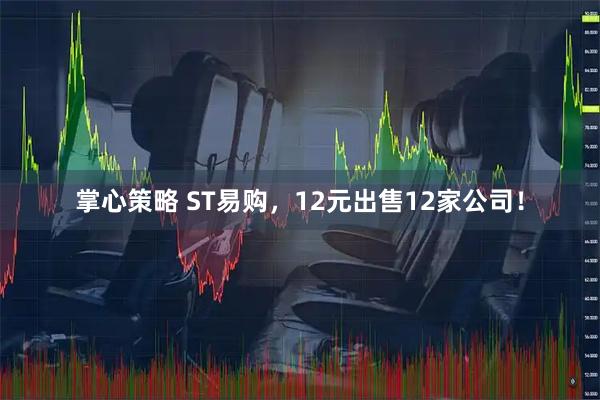 掌心策略 ST易购，12元出售12家公司！
